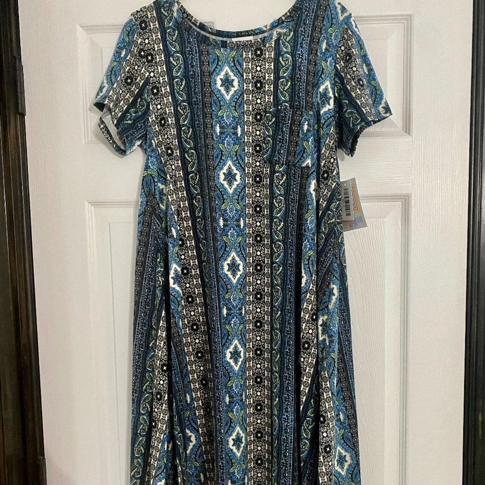 NWT Lularoe Carly - S